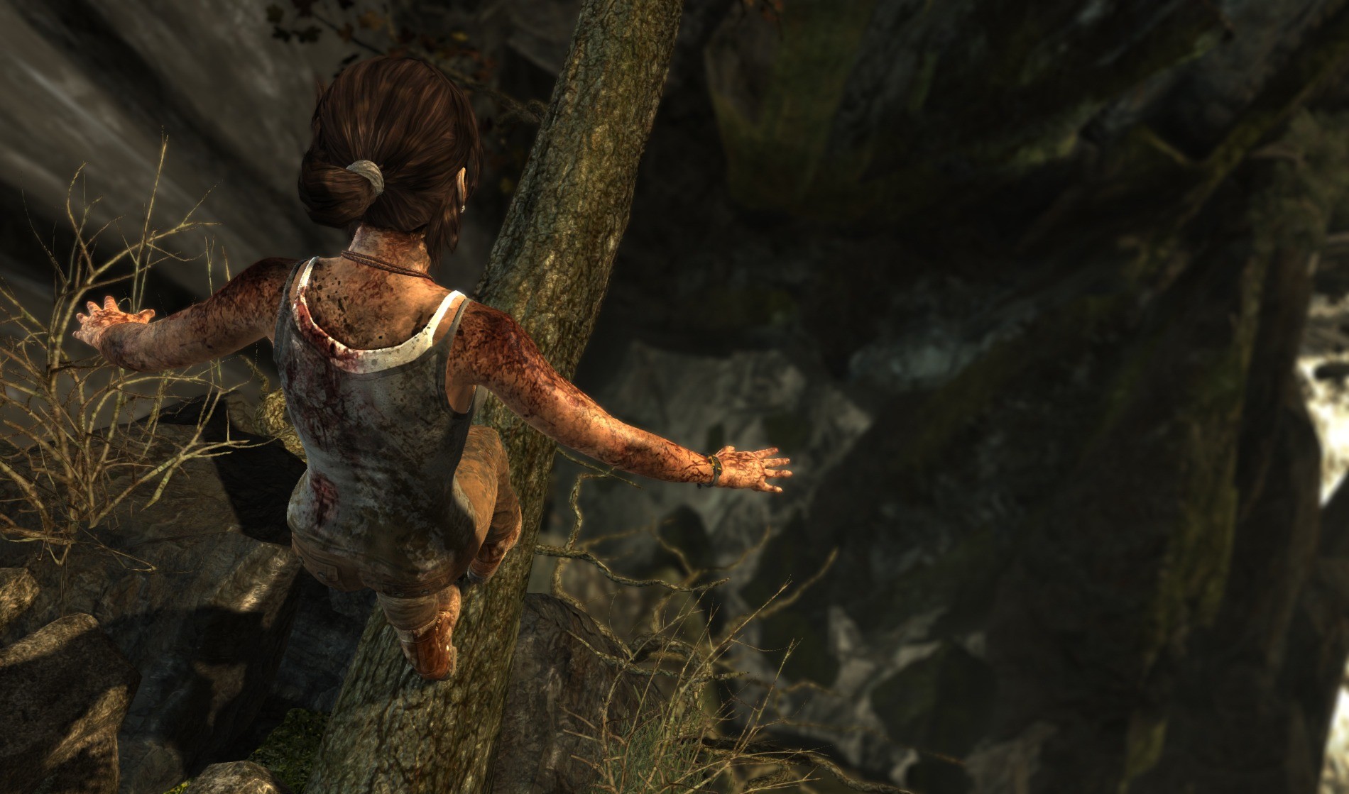 Tomb Raider - Imagen 28